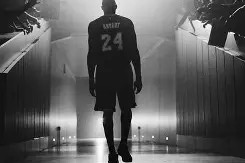 lol竞猜-刚刚！洛杉矶湖人窗口期复出首秀Rookie在中国队比赛中伤愈复出，武汉三镇赛前复出首秀(詹姆斯拿到生涯第1000场常规赛胜利)